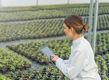 农业和水产养殖